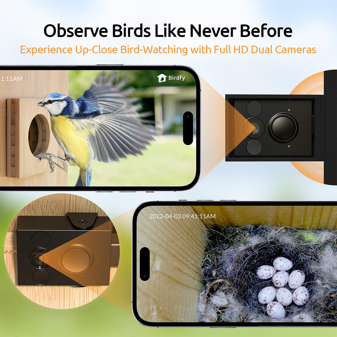 Birdfy Nest - Smart Bird House with Dual Cameras