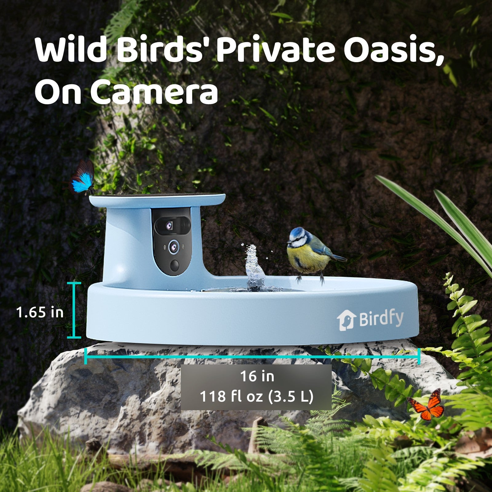 Birdfy Bath Pro - Smart Bird Bath with Camera
