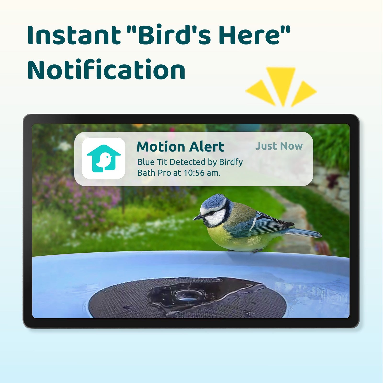 Birdfy Bath Pro - Smart Bird Bath with Camera