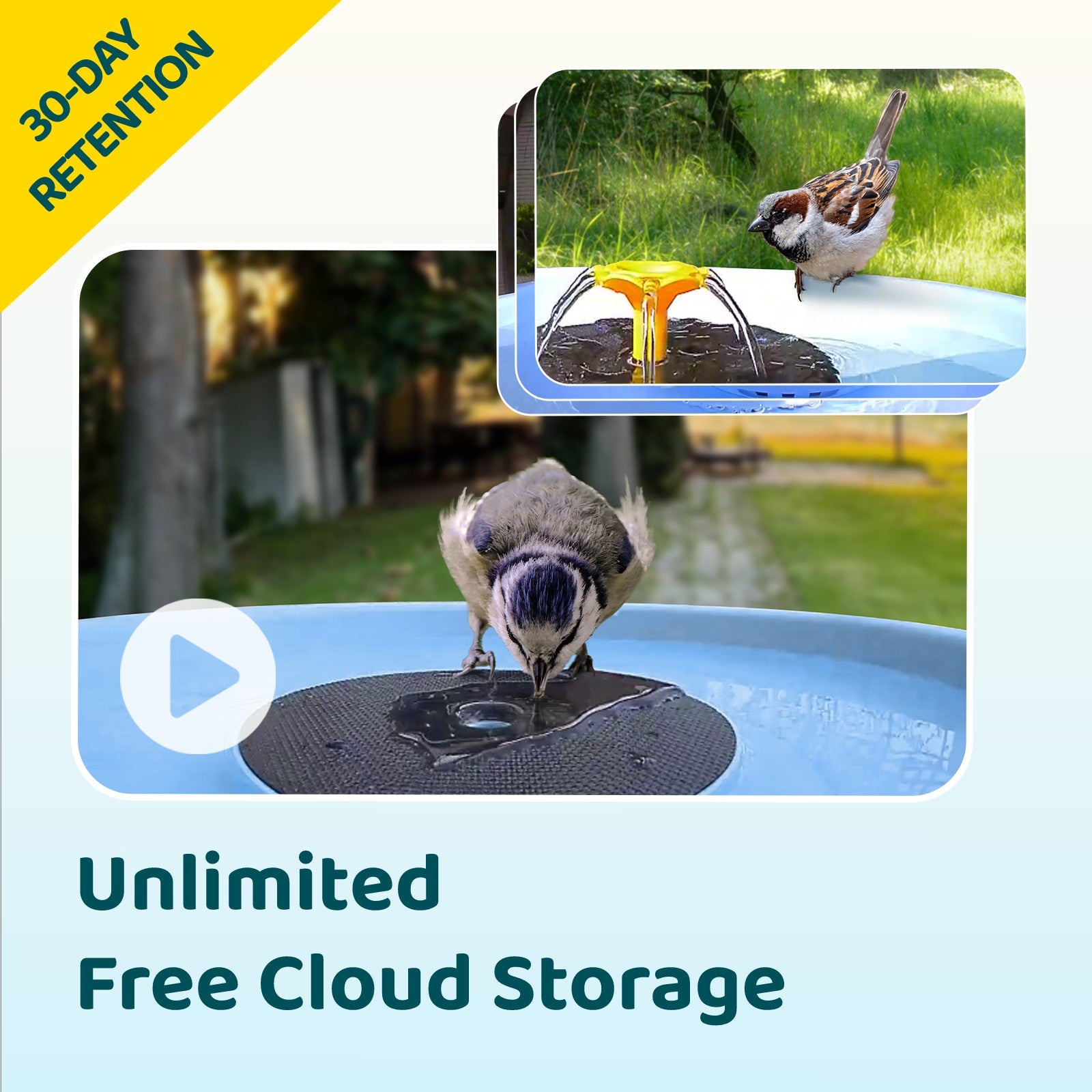 Birdfy Bath Pro - Smart Bird Bath with Camera