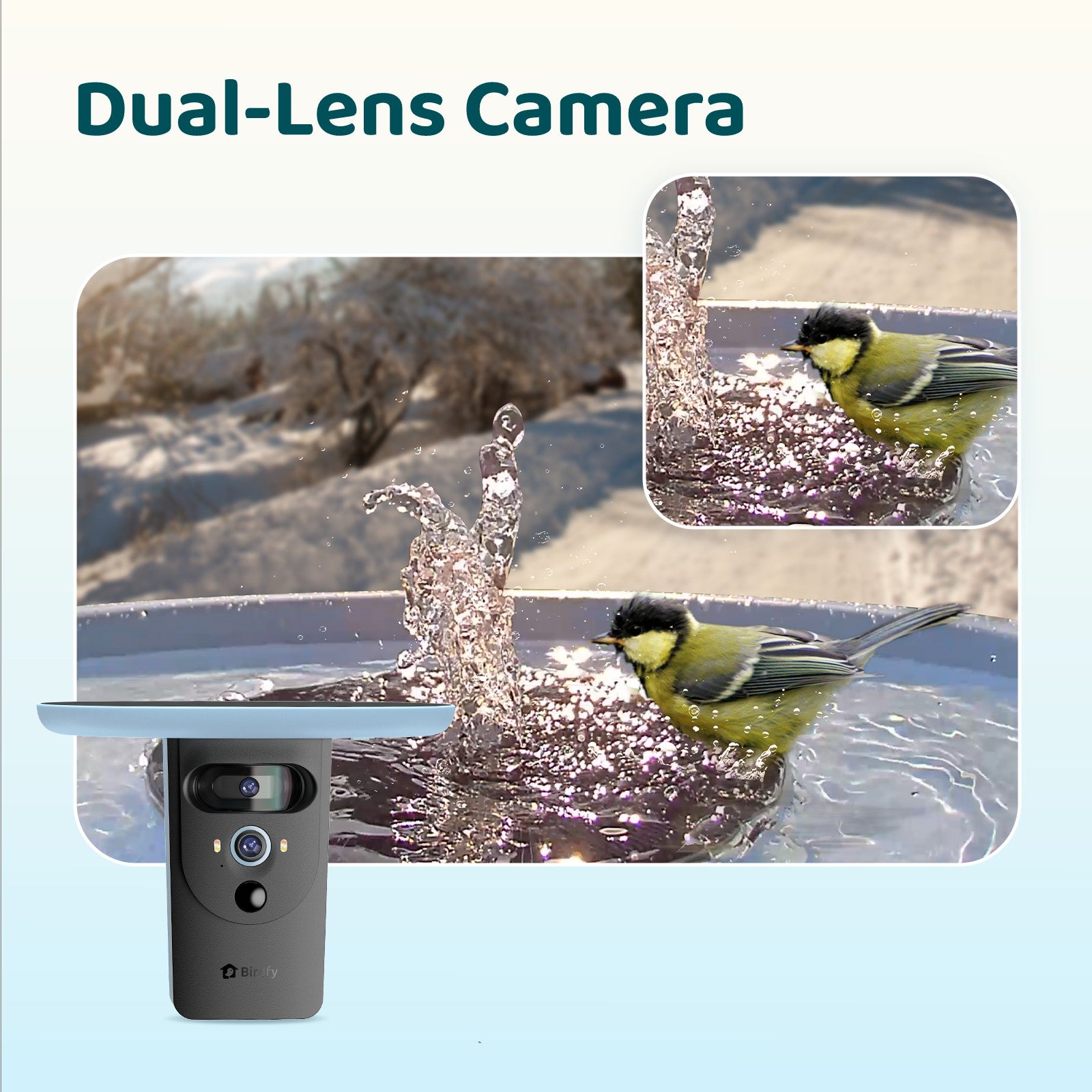 Birdfy Bath Pro - Smart Bird Bath with Camera
