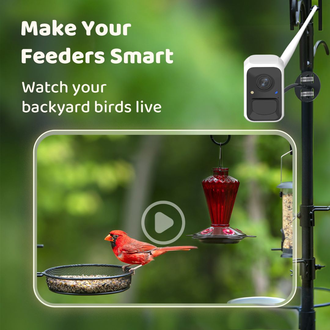 Birdfy Feeder with Panel Solar- Bird Feeder Camera, Best Gift for Bird ...