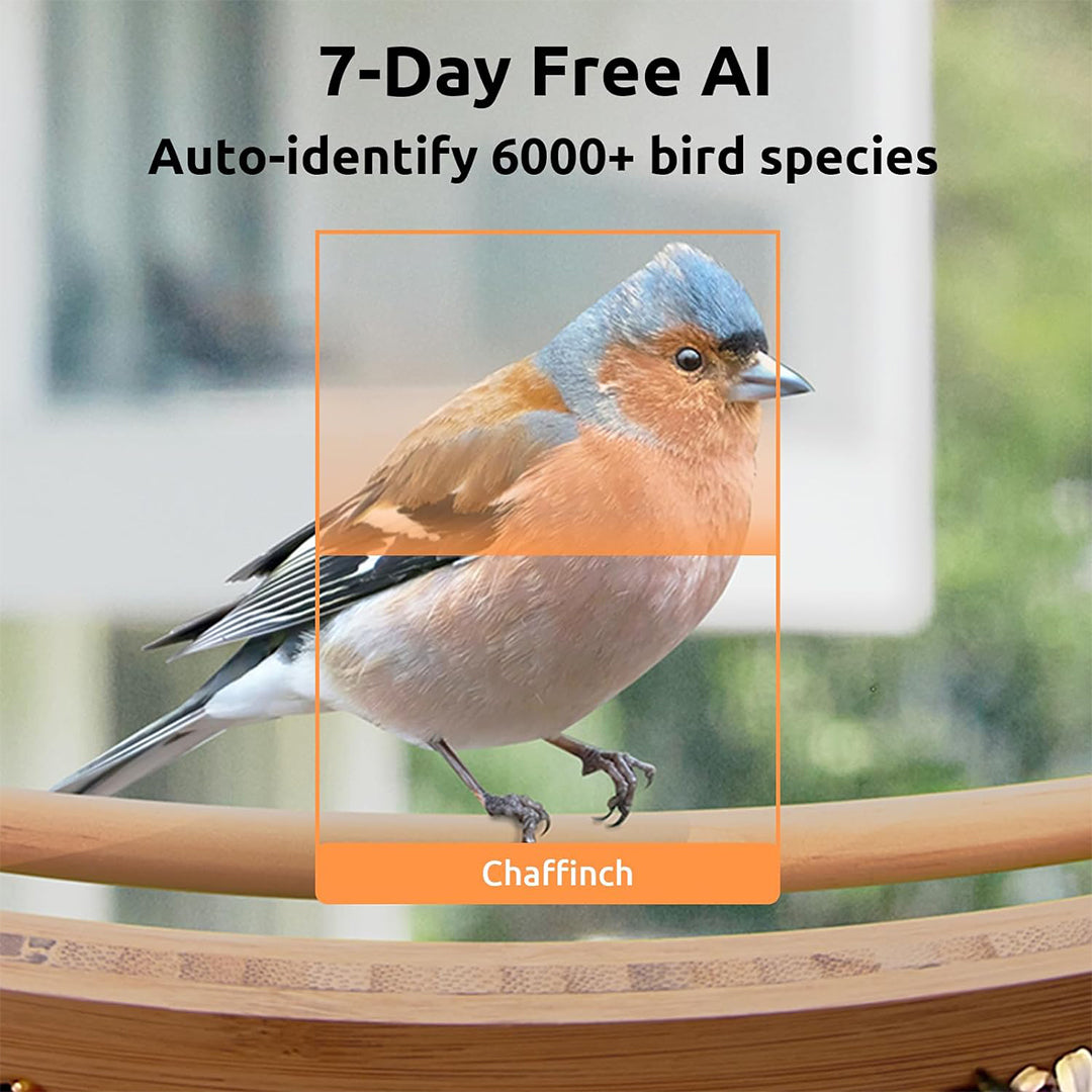 Birdfy Feeder Bamboo - Smart Bird Feeder with Eco-friendly Material