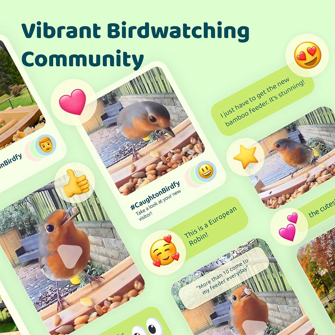 Birdfy Feeder Bamboo - Smart Bird Feeder with Eco-friendly Material