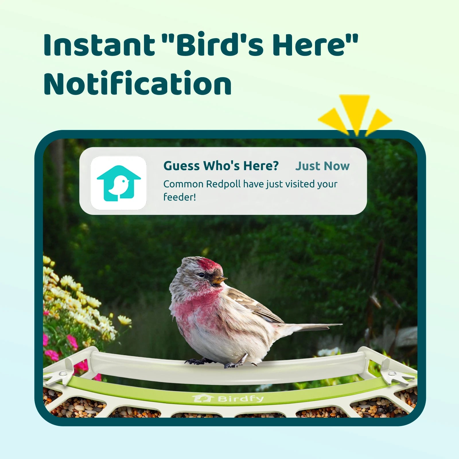 Birdfy Feeder Metal - Smart Metal Feeder with Camera