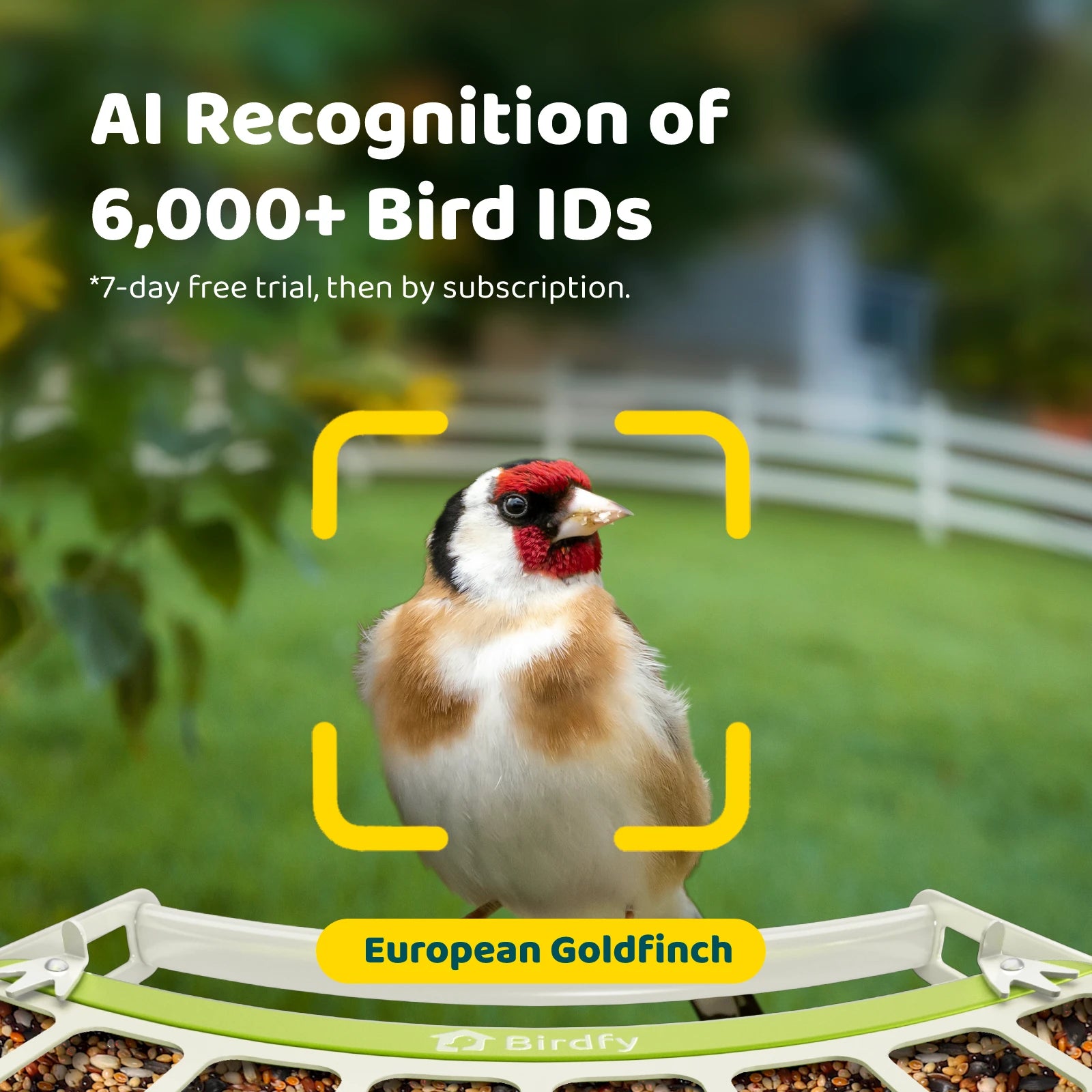 Birdfy Feeder Metal - Smart Metal Feeder with Camera