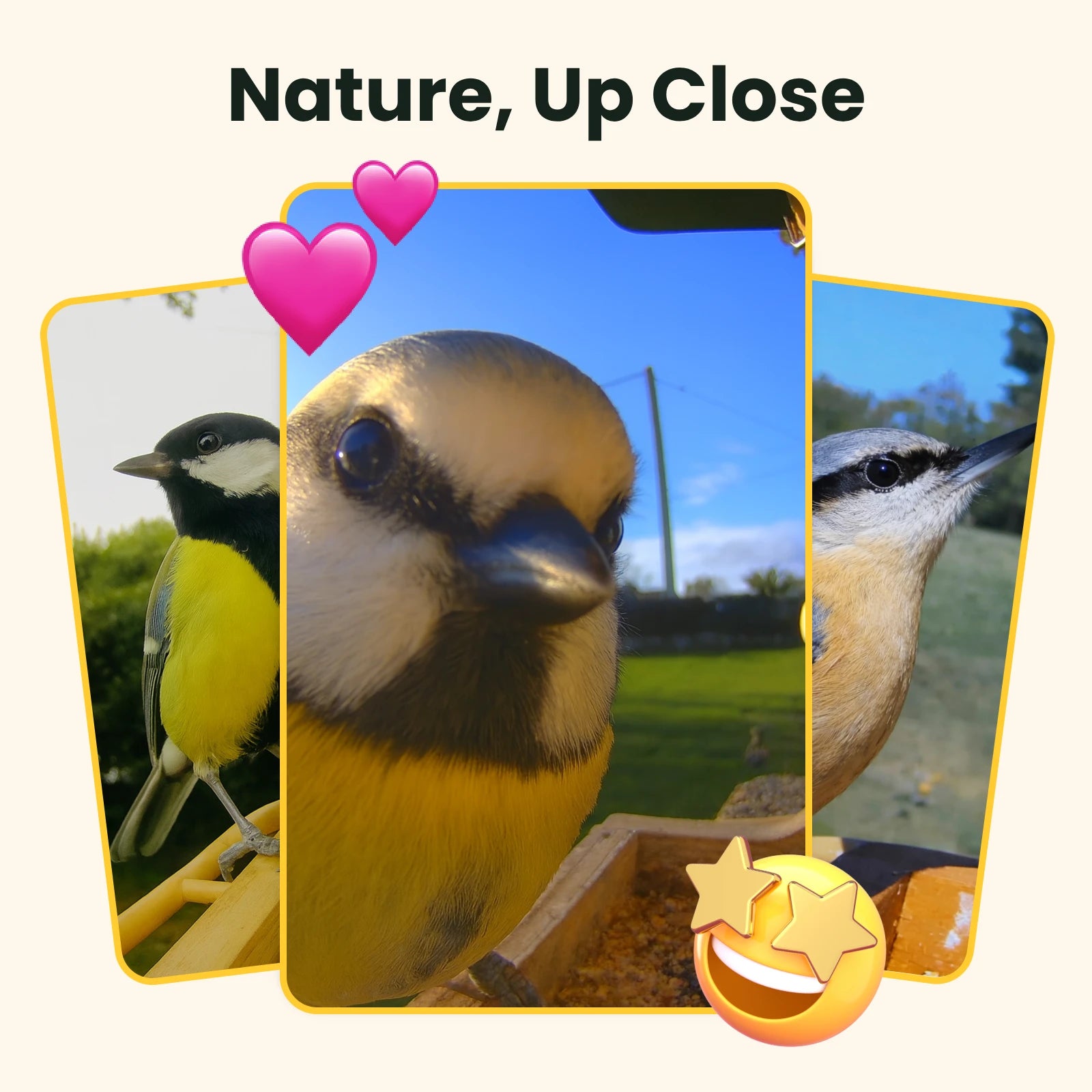 Birdfy Feeder Wood - Wooden Smart Bird Feeder with Camera