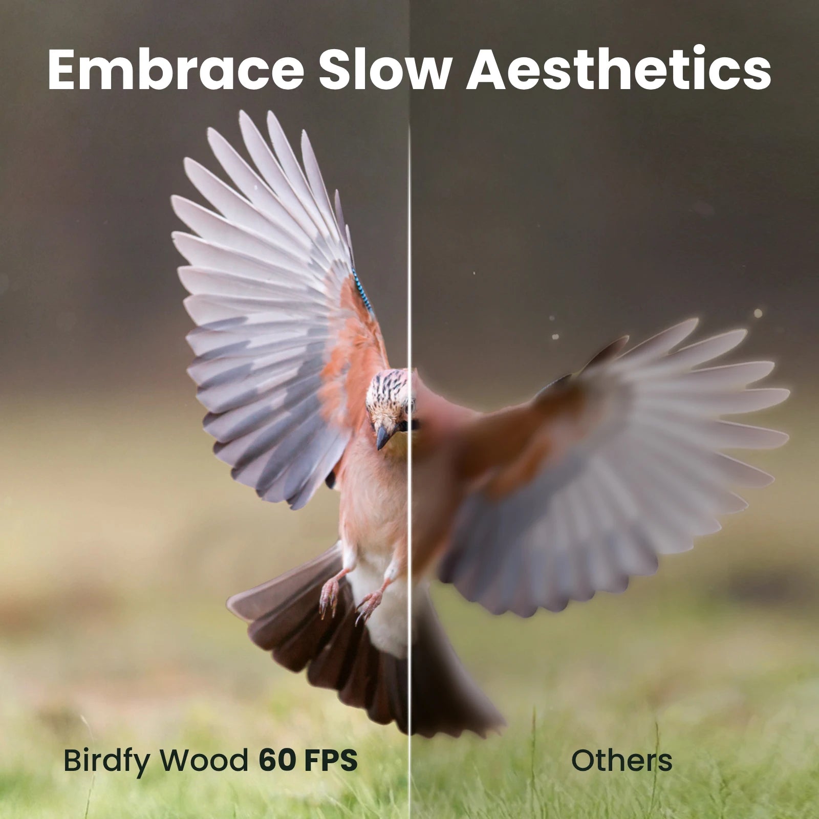 Birdfy Feeder Wood - Wooden Smart Bird Feeder with Camera