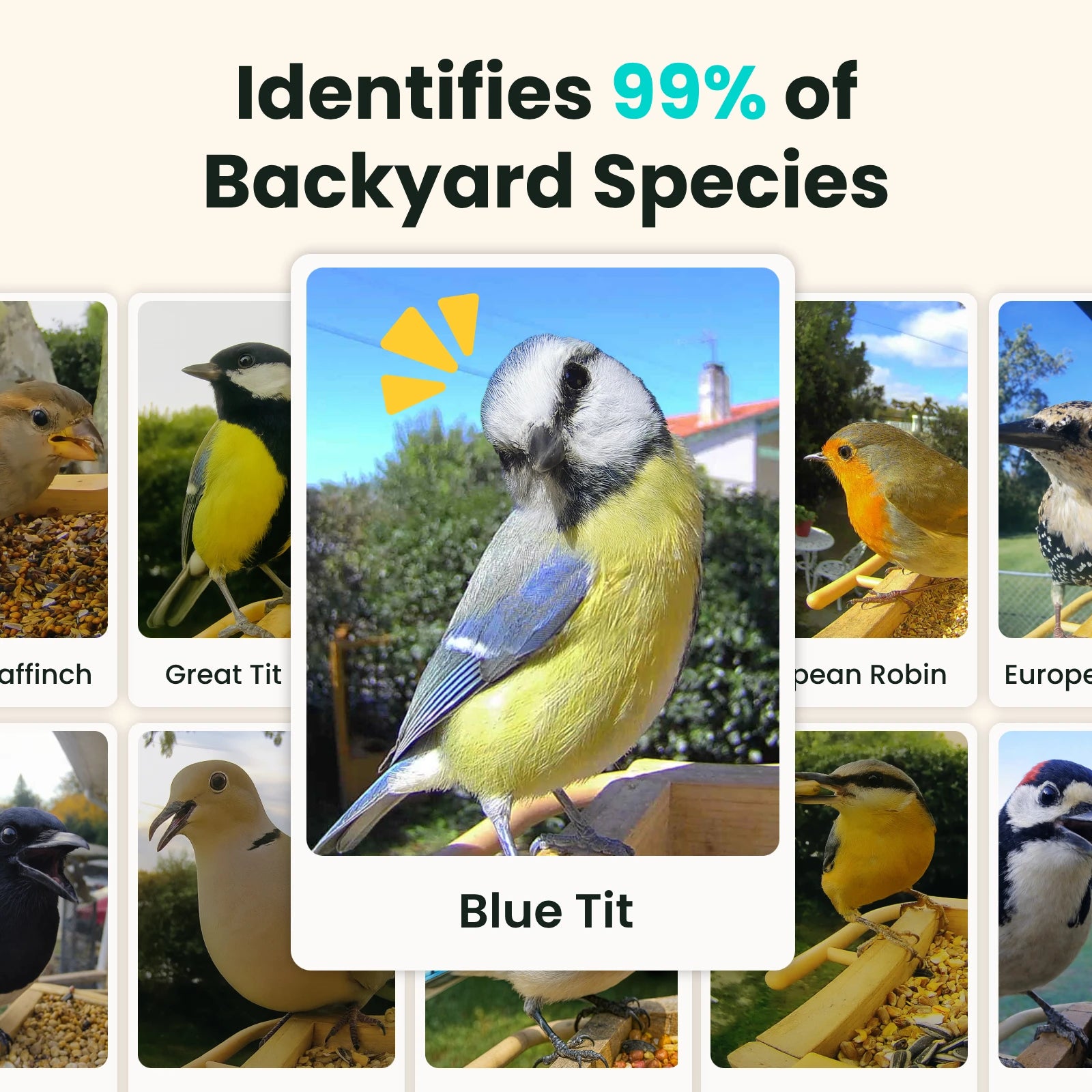 Birdfy Feeder Wood - Wooden Smart Bird Feeder with Camera