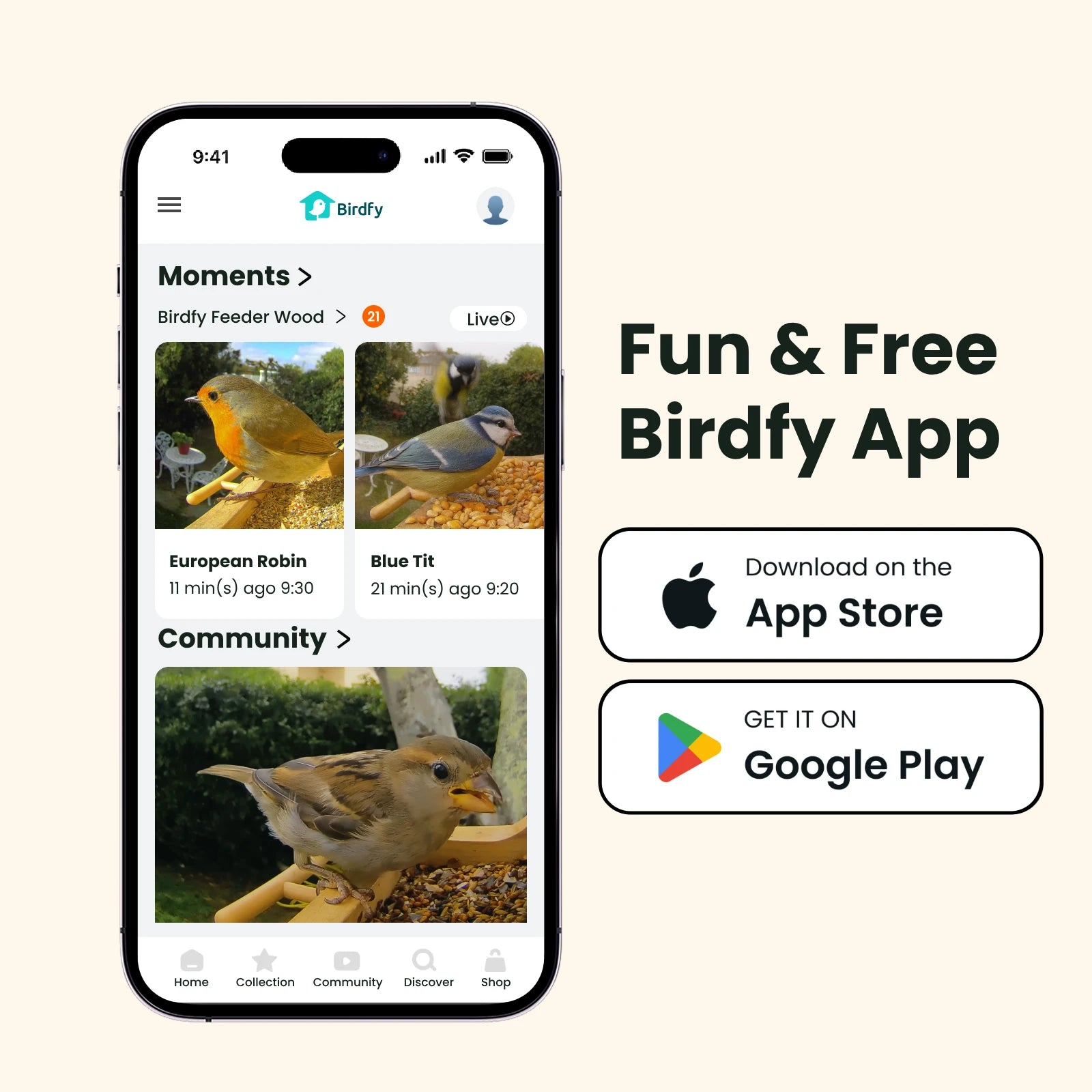 Birdfy Feeder Wood - Wooden Smart Bird Feeder with Camera