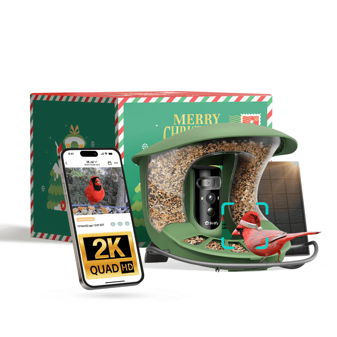 Birdfy Feeder 2 Pro - Bird Feeder Camera