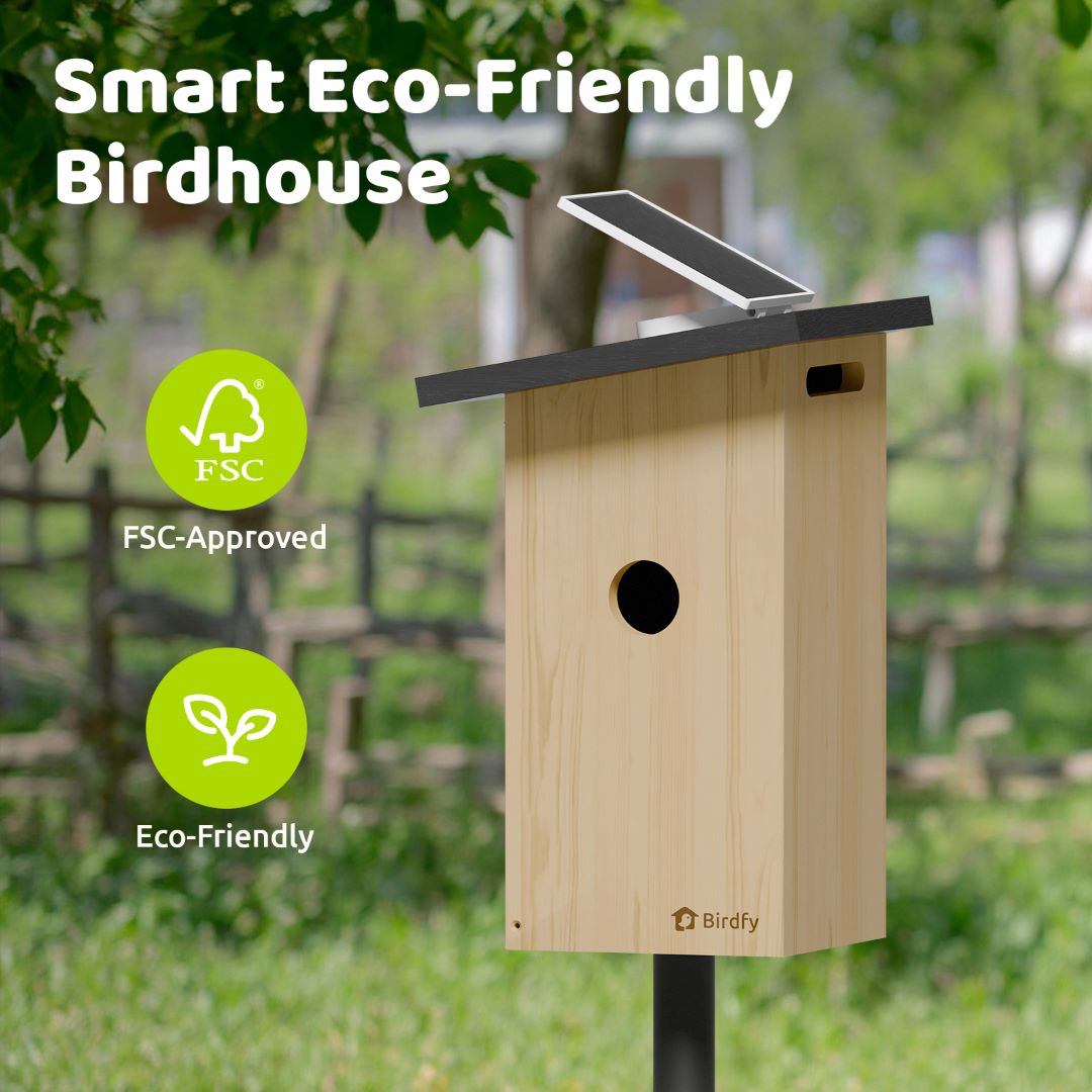 Birdfy Nest Ebony - Wooden Smart Birdhouse