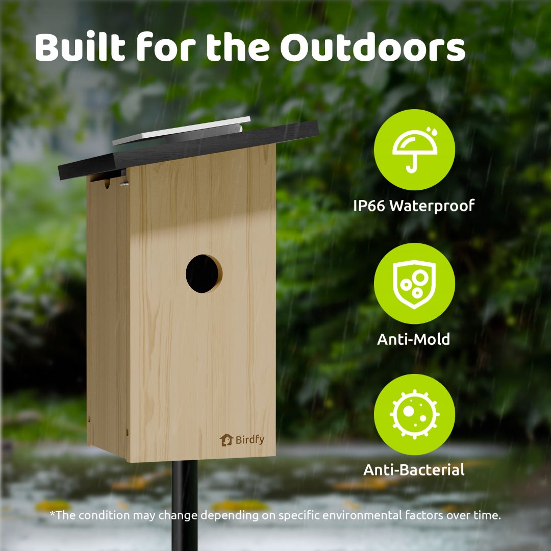 Birdfy Nest Ebony - Wooden Smart Birdhouse