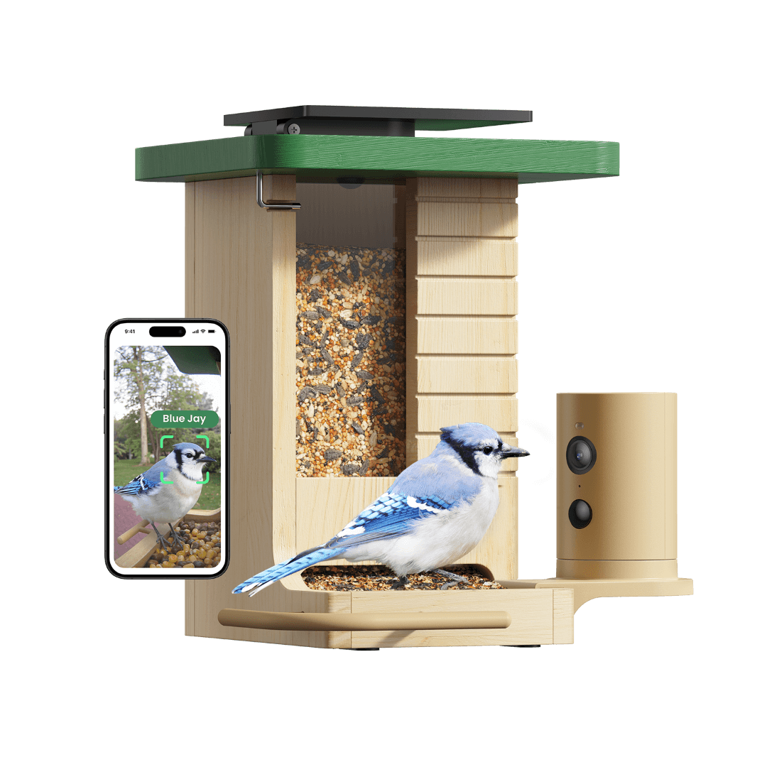 Birdfy Feeder Wood - Wooden Smart Bird Feeder with Camera