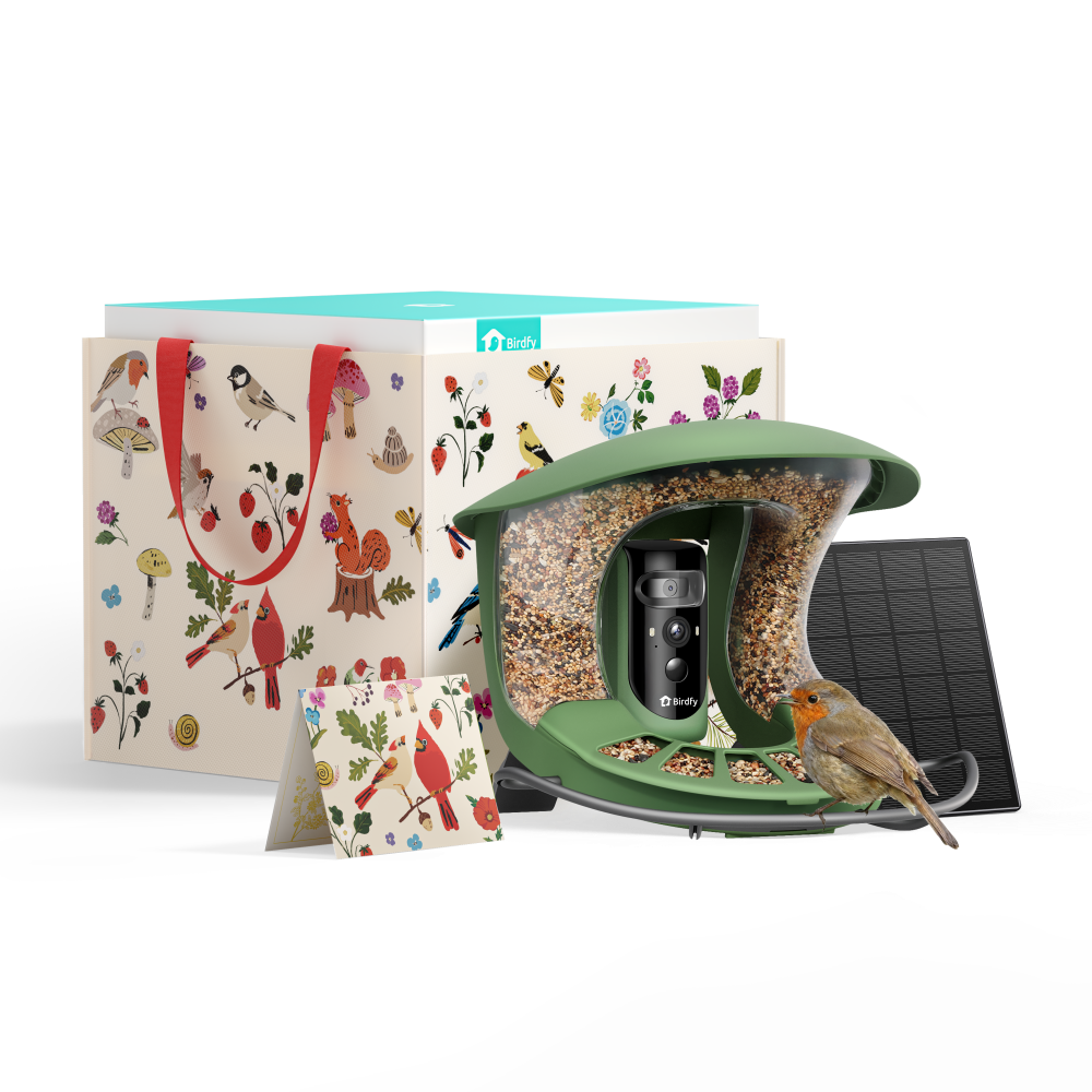 Birdfy Feeder 2 Pro - Bird Feeder Camera (Gift Edition)