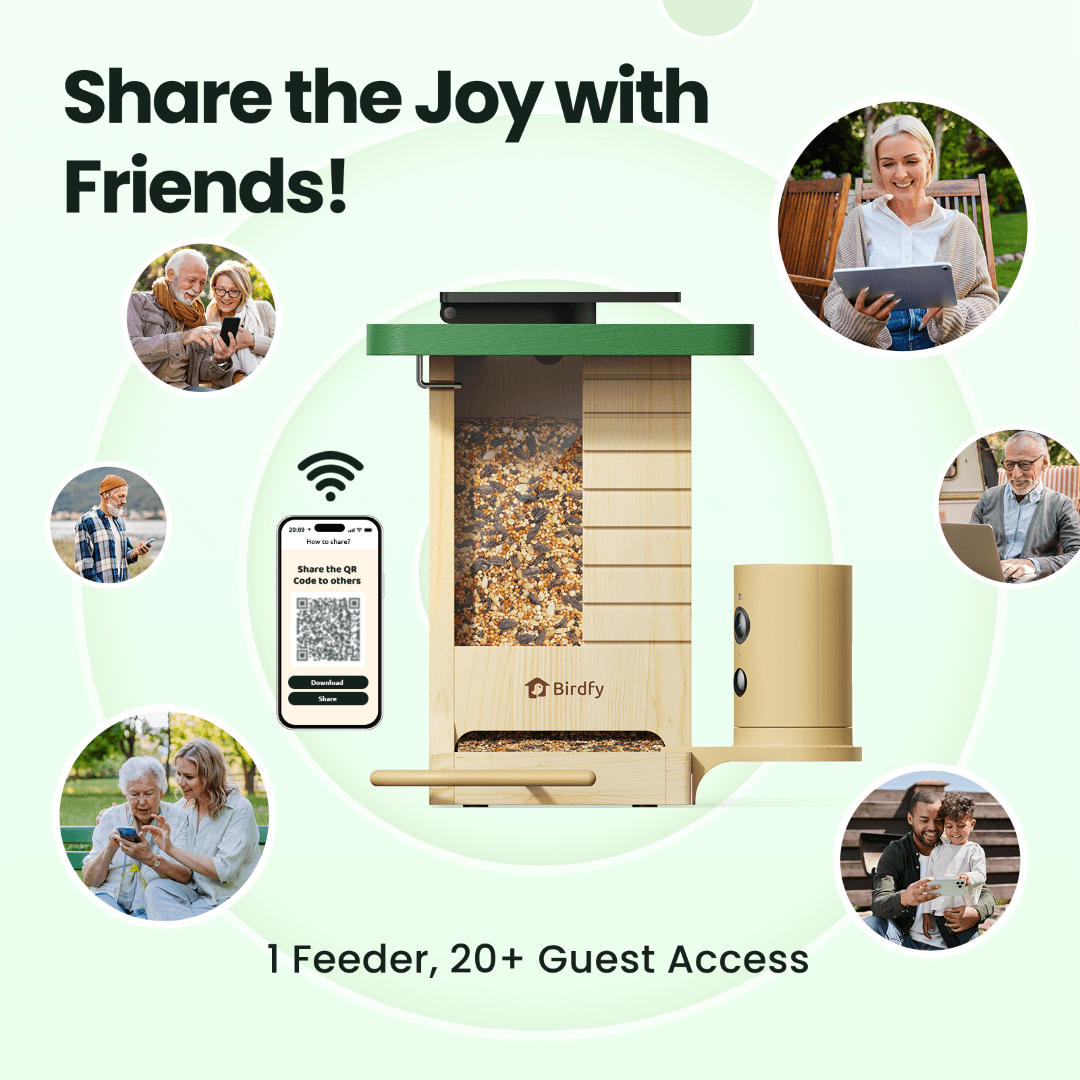 Birdfy Feeder Wood - Wooden Smart Bird Feeder with Camera