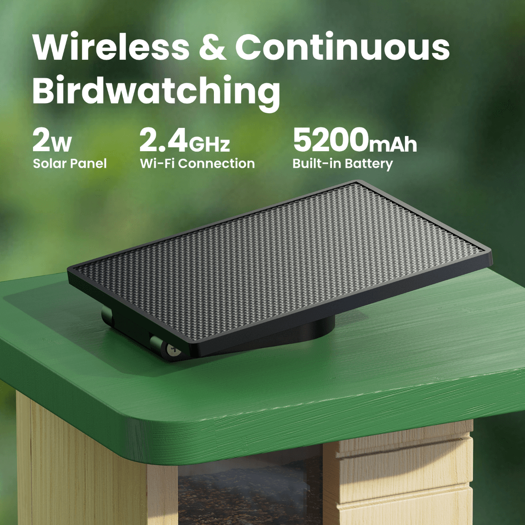 Birdfy Feeder Wood - Wooden Smart Bird Feeder with Camera