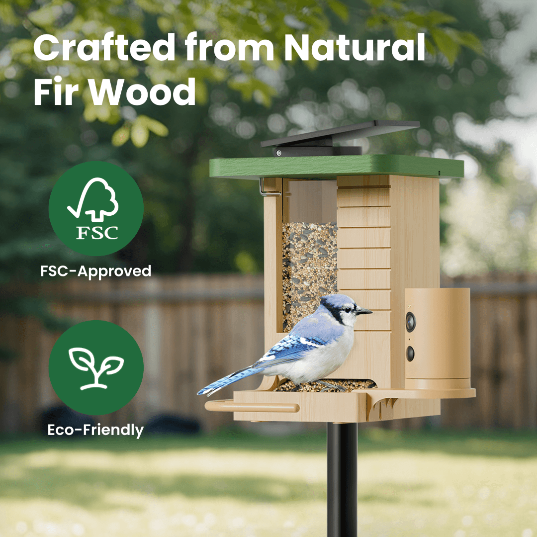 Birdfy Feeder Wood - Wooden Smart Bird Feeder with Camera