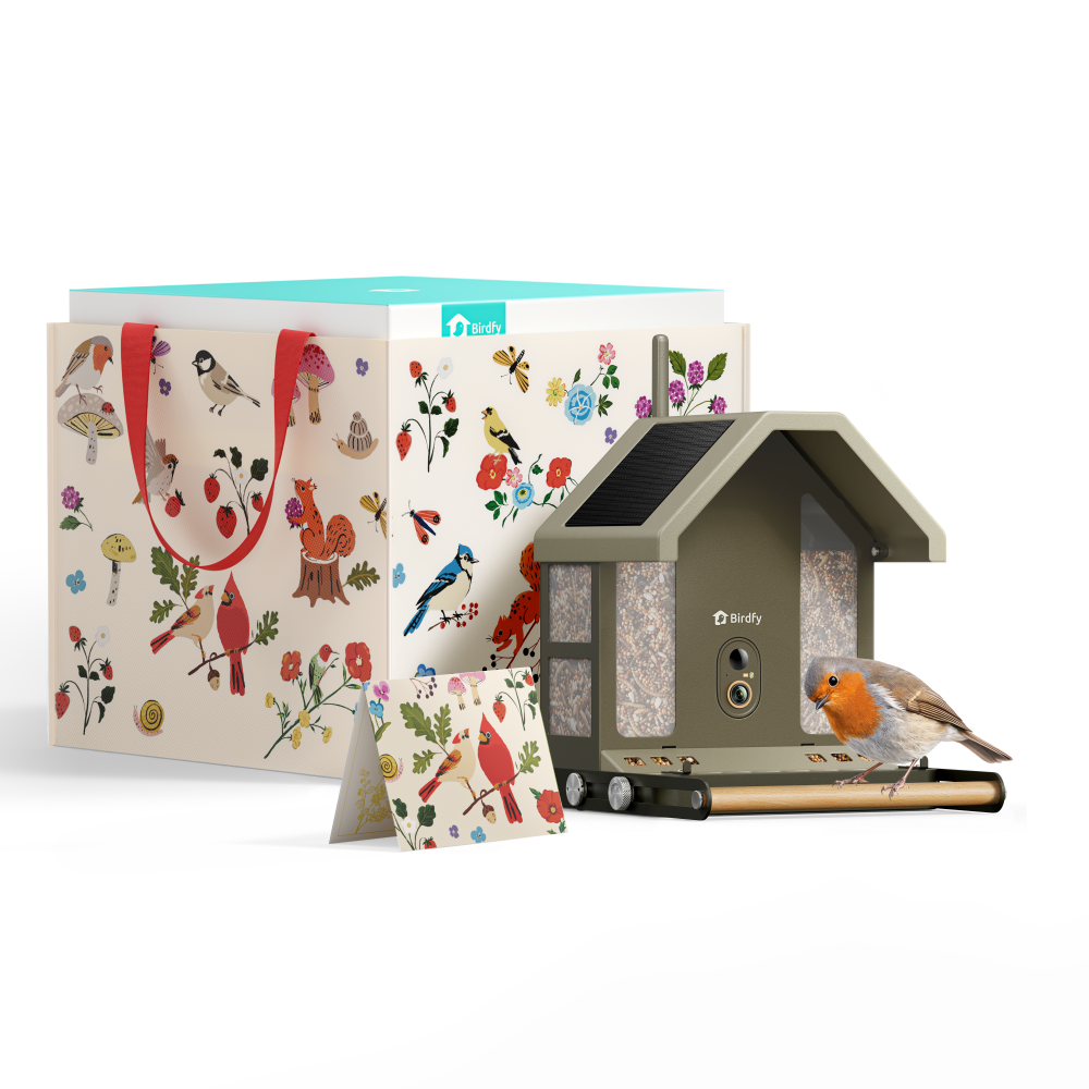 Birdfy Feeder Metal 2 4K - Smart Metal Feeder with Camera (Gift Edition)