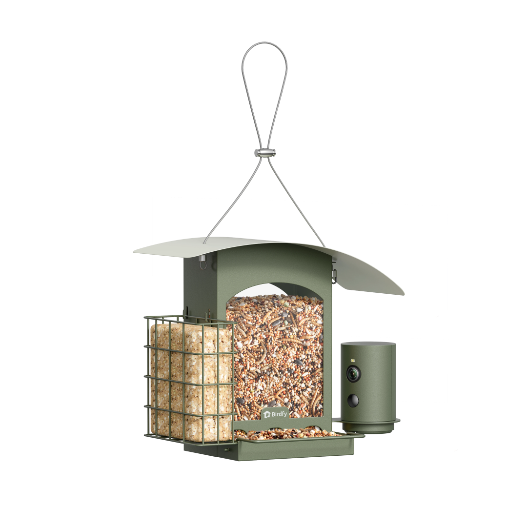 Birdfy Feeder Metal A - Smart Bird Feeder