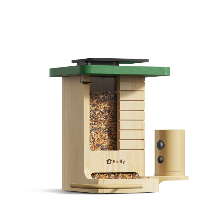 Birdfy UK | The Ultimate Smart Bird Feeder Camera with AI – birdfyuk