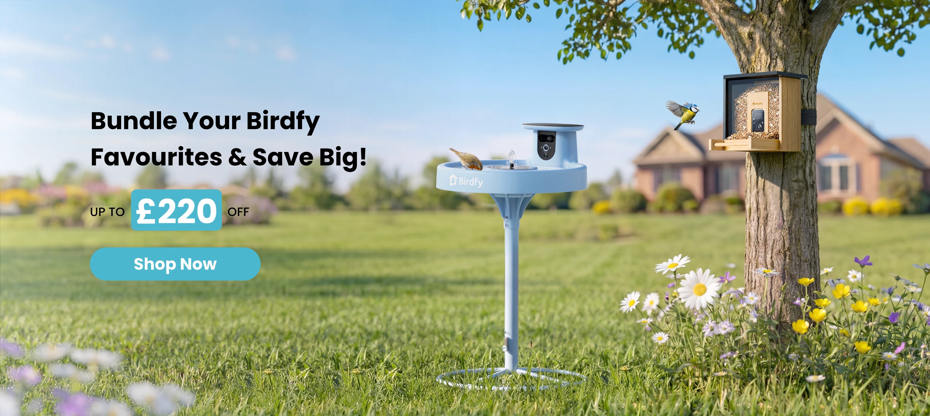 Birdfy UK | The Ultimate Smart Bird Feeder Camera with AI – birdfyuk