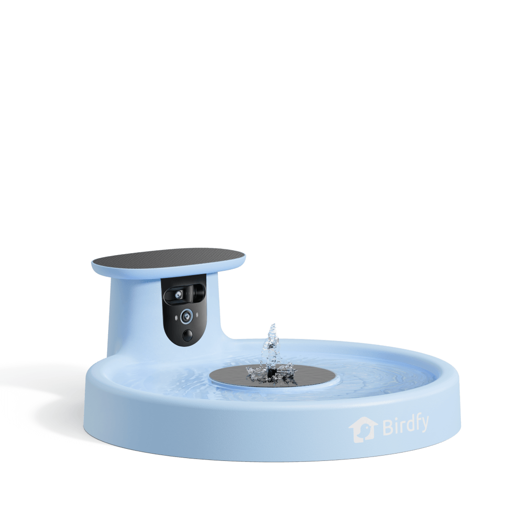 Birdfy Bath Pro - Smart Bird Bath with Camera