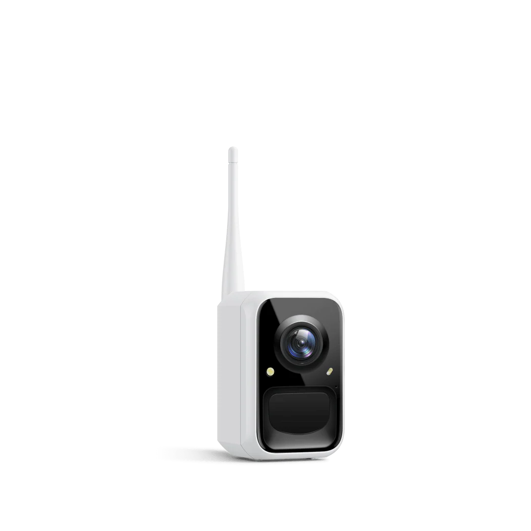 Birdfy Cam - Bird Feeder Cam