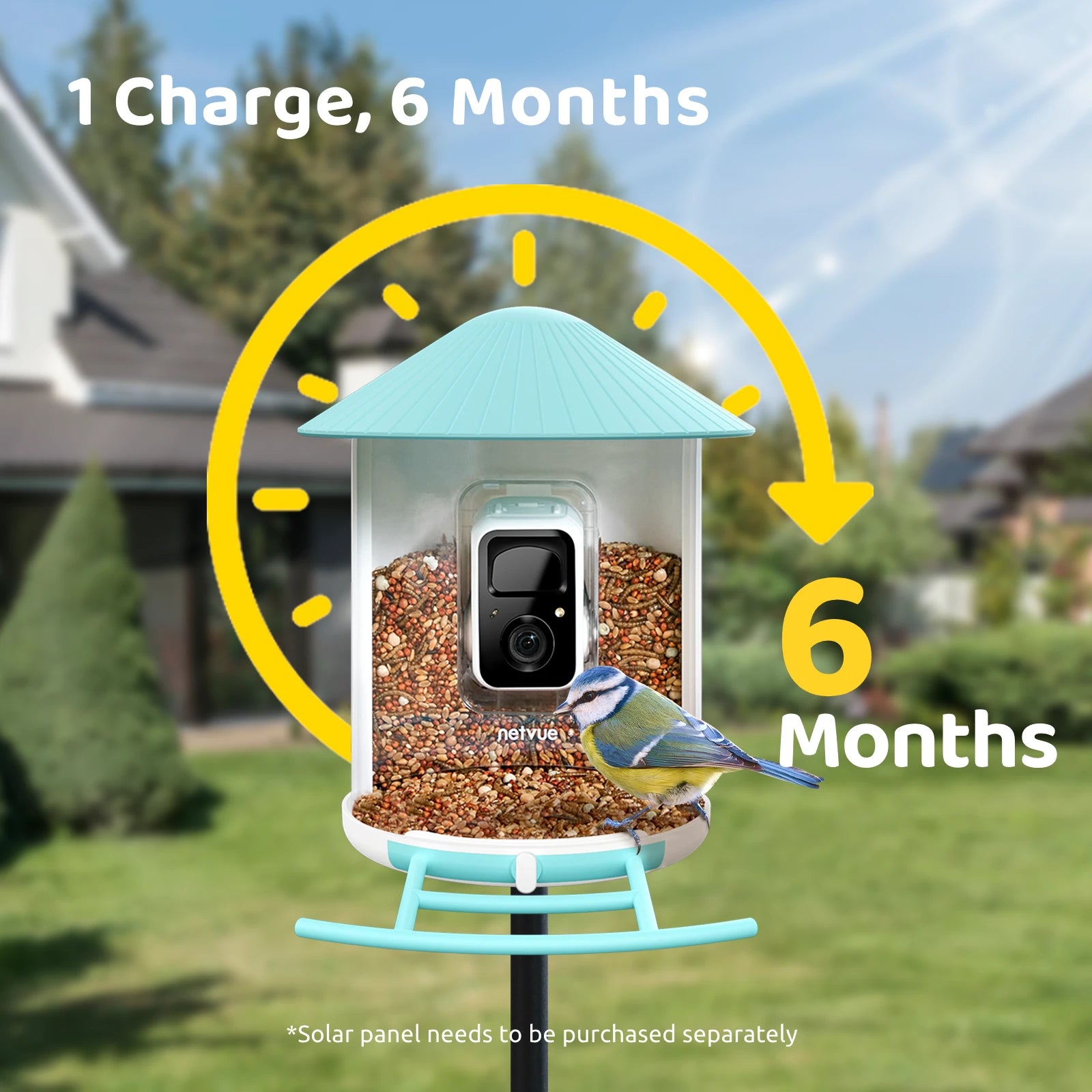 Birdfy Feeder with Solar Panel - Solar Powered Bird Feeder Camera