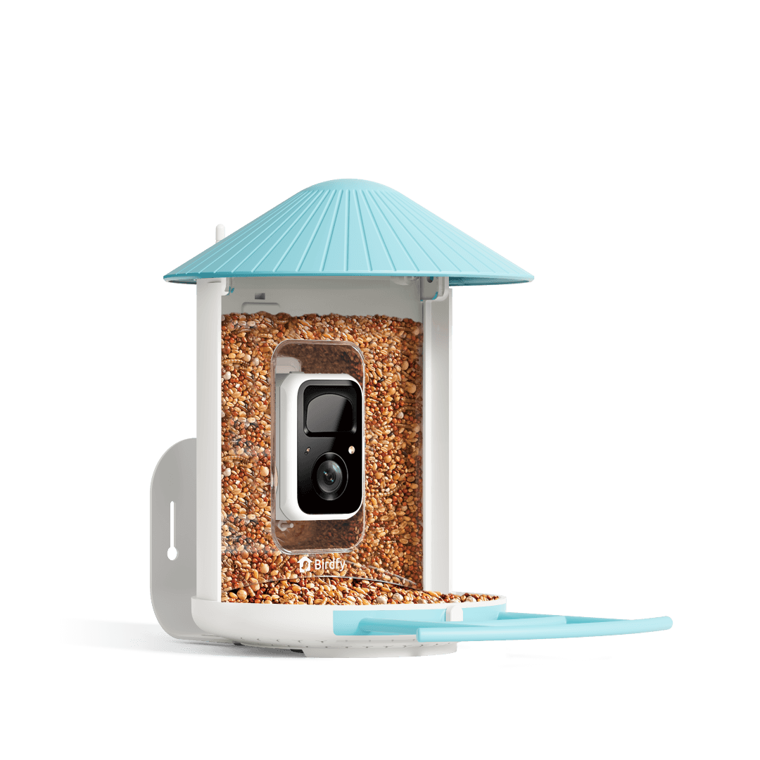 Birdfy Feeder 1 - Bird Feeder Camera