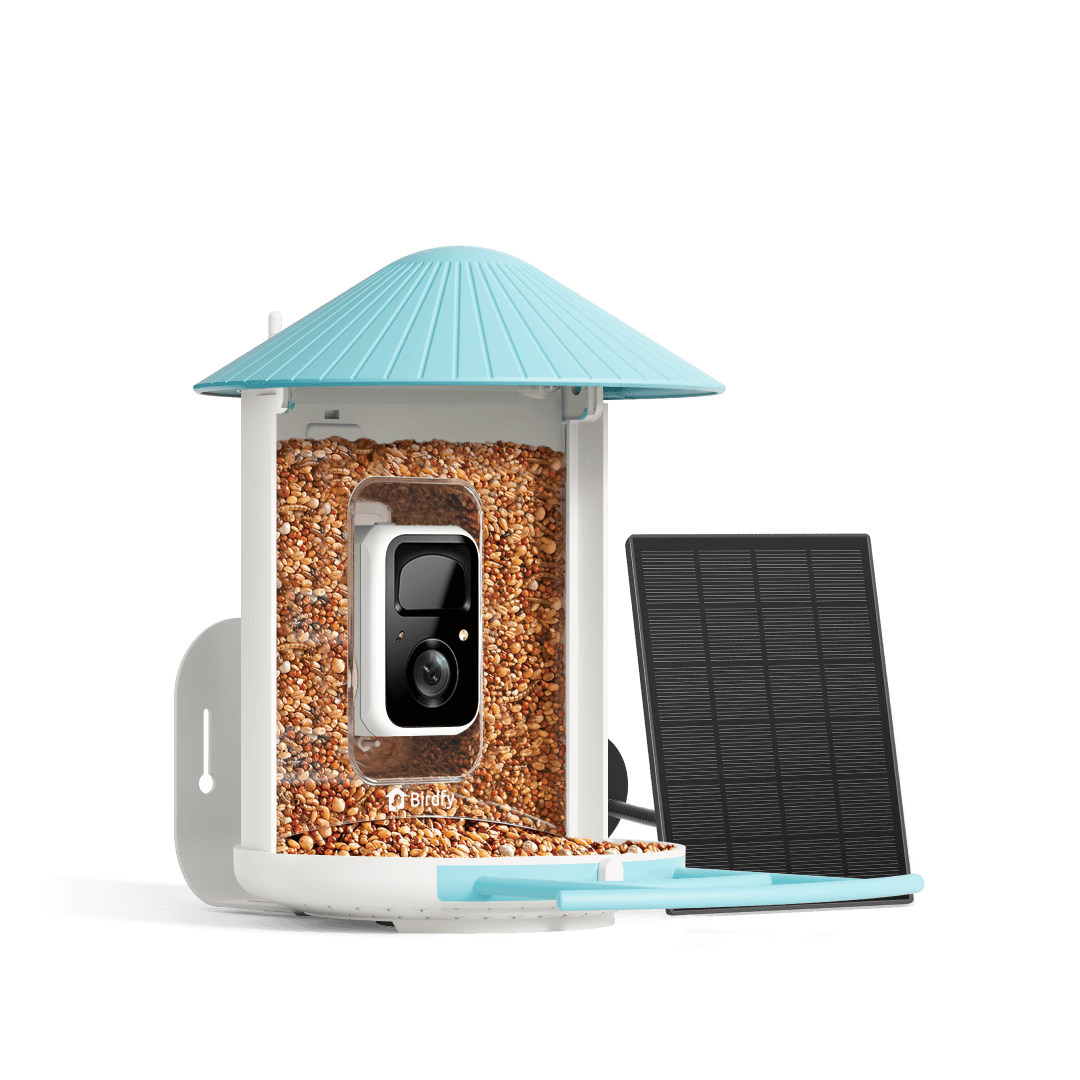 Birdfy Feeder with Solar Panel - Solar Powered Bird Feeder Camera