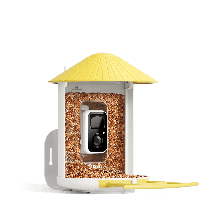 Birdfy Feeder 1 - Bird Feeder Camera