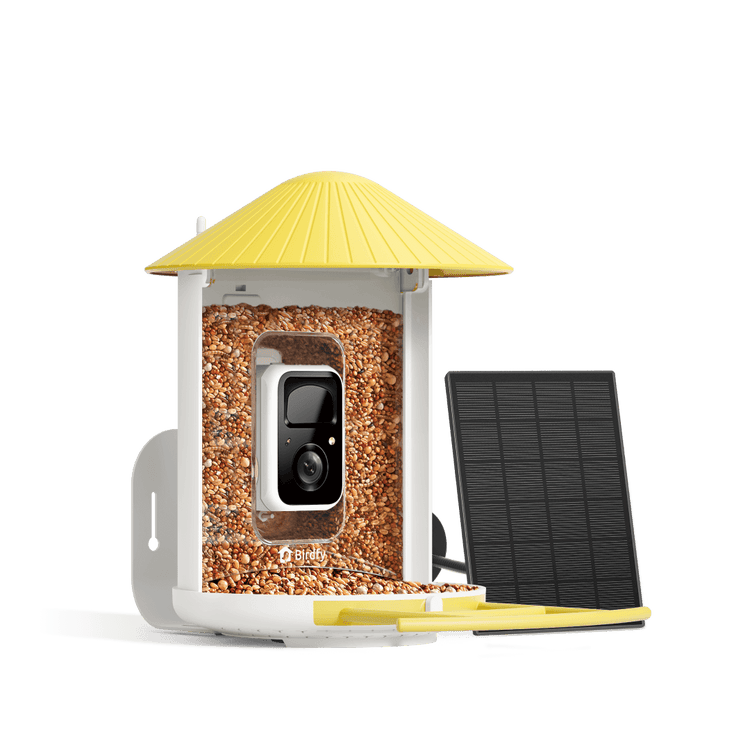 Birdfy Feeder with Solar Panel - Solar Powered Bird Feeder Camera