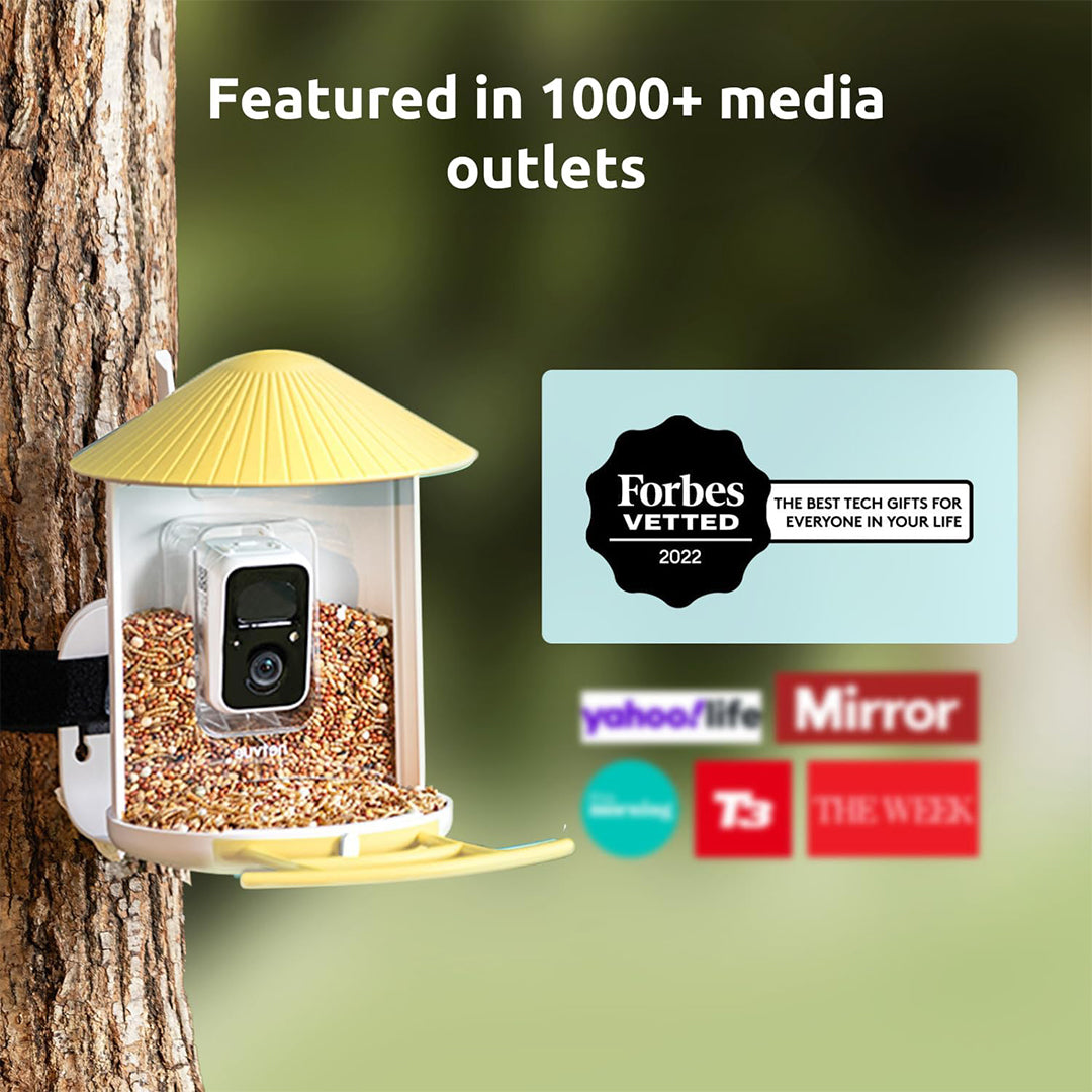 Birdfy Feeder with Solar Panel - Solar Powered Bird Feeder Camera