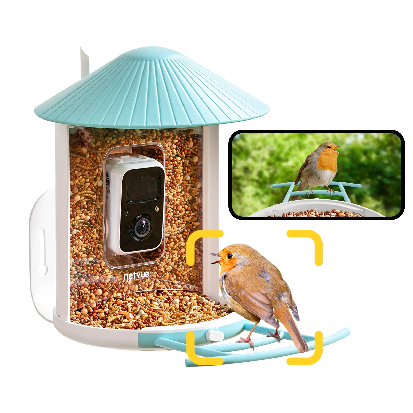 Birdfy Feeder 1 - Bird Feeder Camera