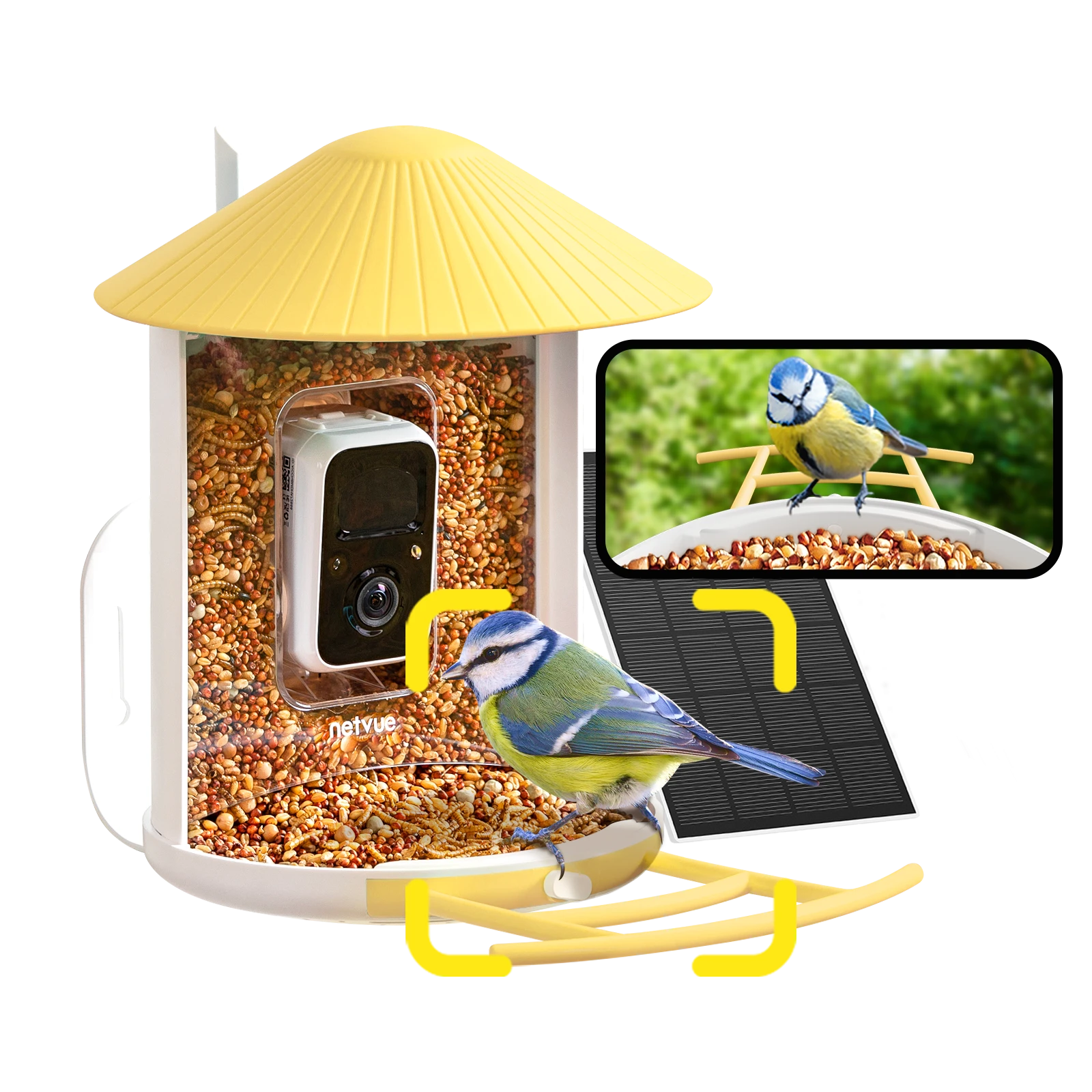Mangiatoia Intelligente Per Uccelli Birdkiss Con Fotocamera E Pannello Solare - AI Riconosce 10.000 Specie, WiFi 2.4GHz