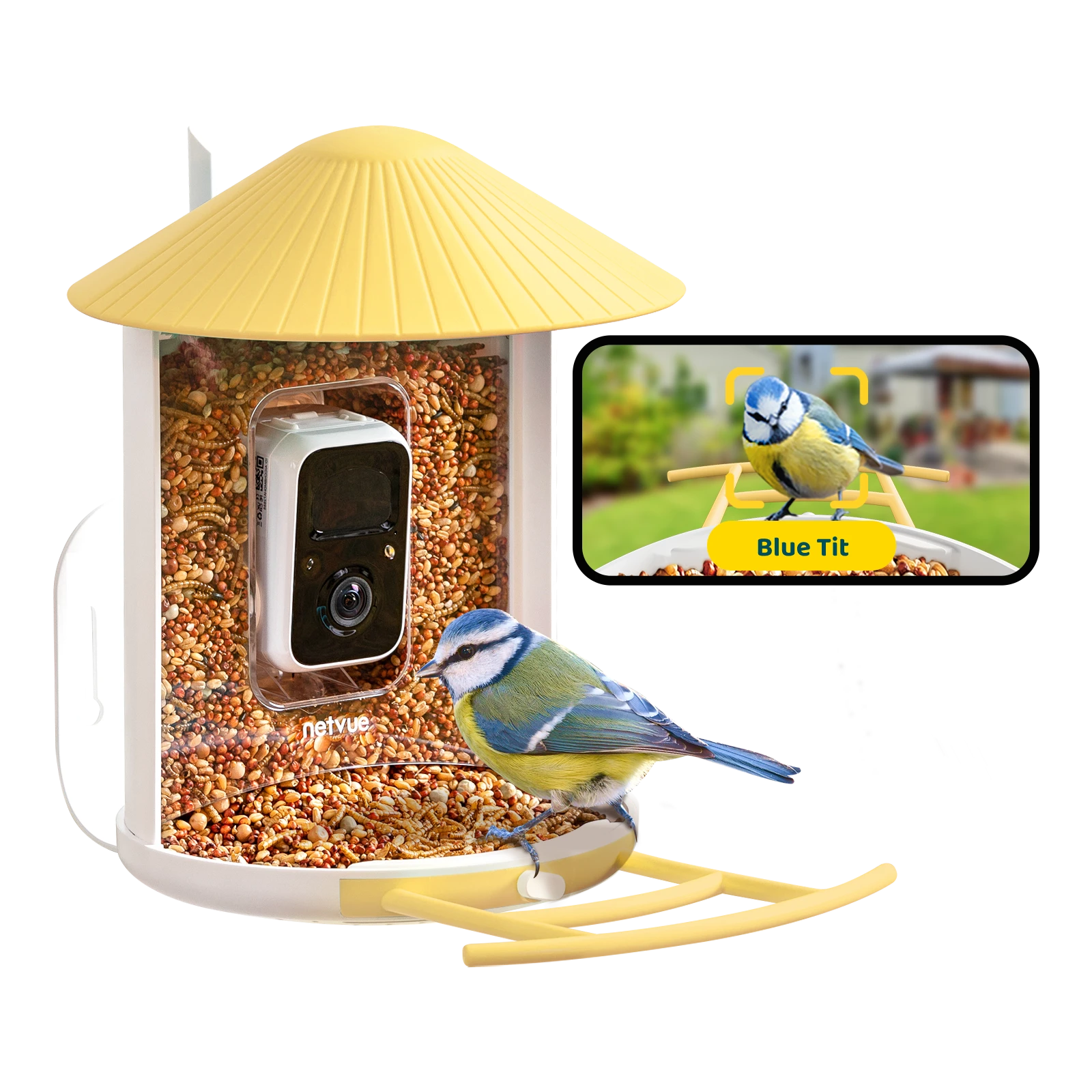 Birdfy Feeder AI Version-Smart Bird Feeder, Auto Record Videos