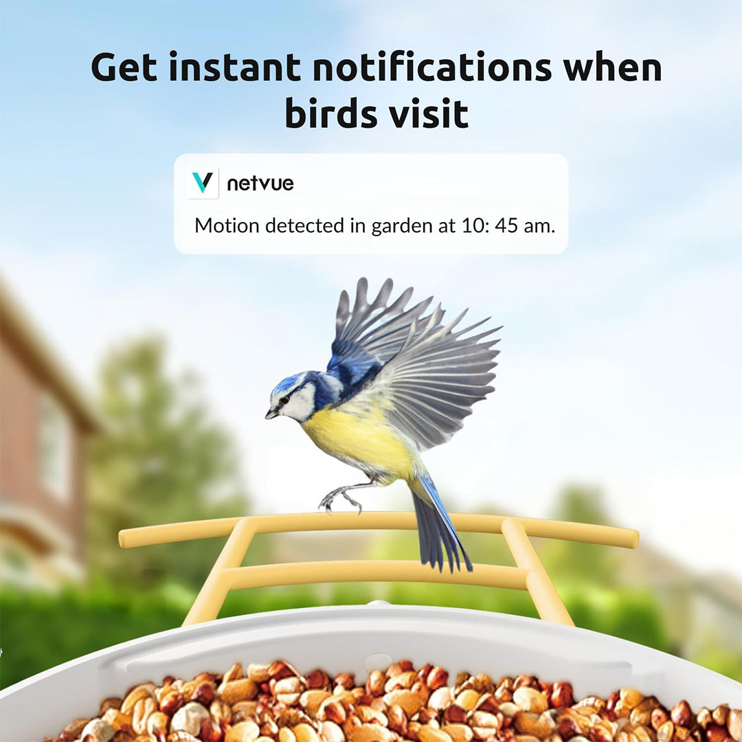 Birdfy Feeder with Solar Panel - Solar Powered Bird Feeder Camera