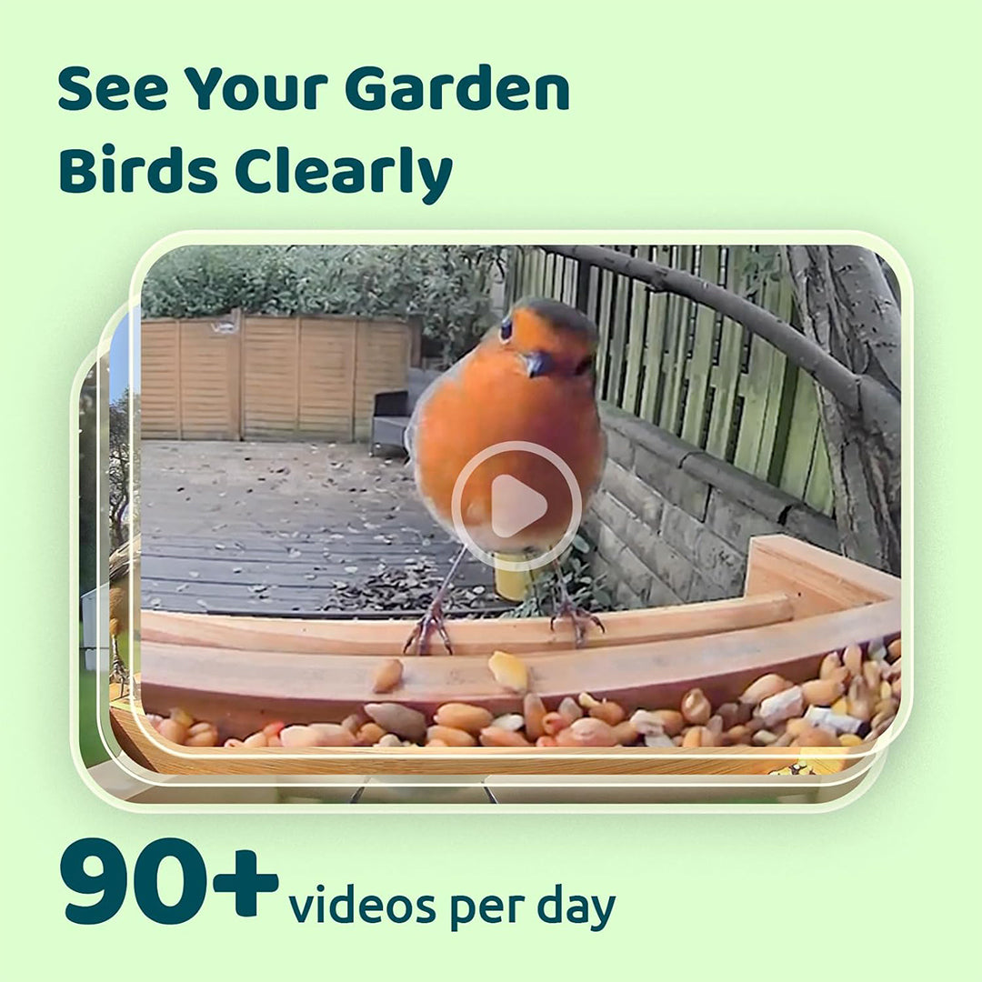 Birdfy Feeder Bamboo - Smart Bird Feeder with Eco-friendly Material