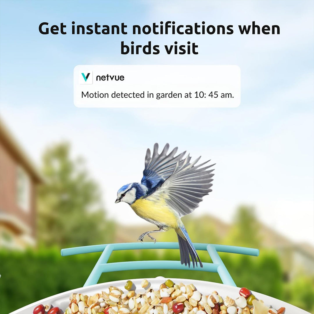 Birdfy Feeder Pro- Bird Feeders with Wider Perch, DIY Add-ons