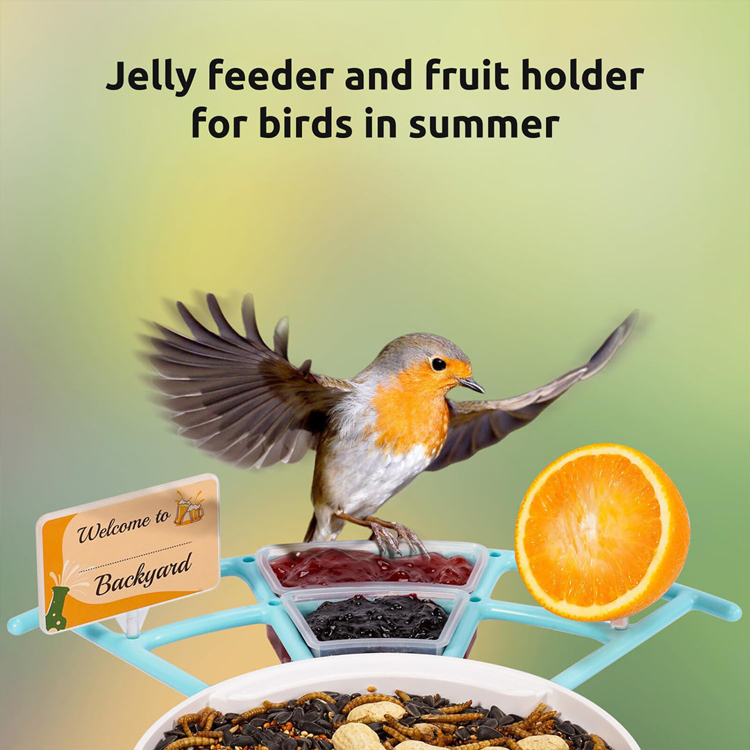 Birdfy Feeder Pro- Bird Feeders with Wider Perch, DIY Add-ons