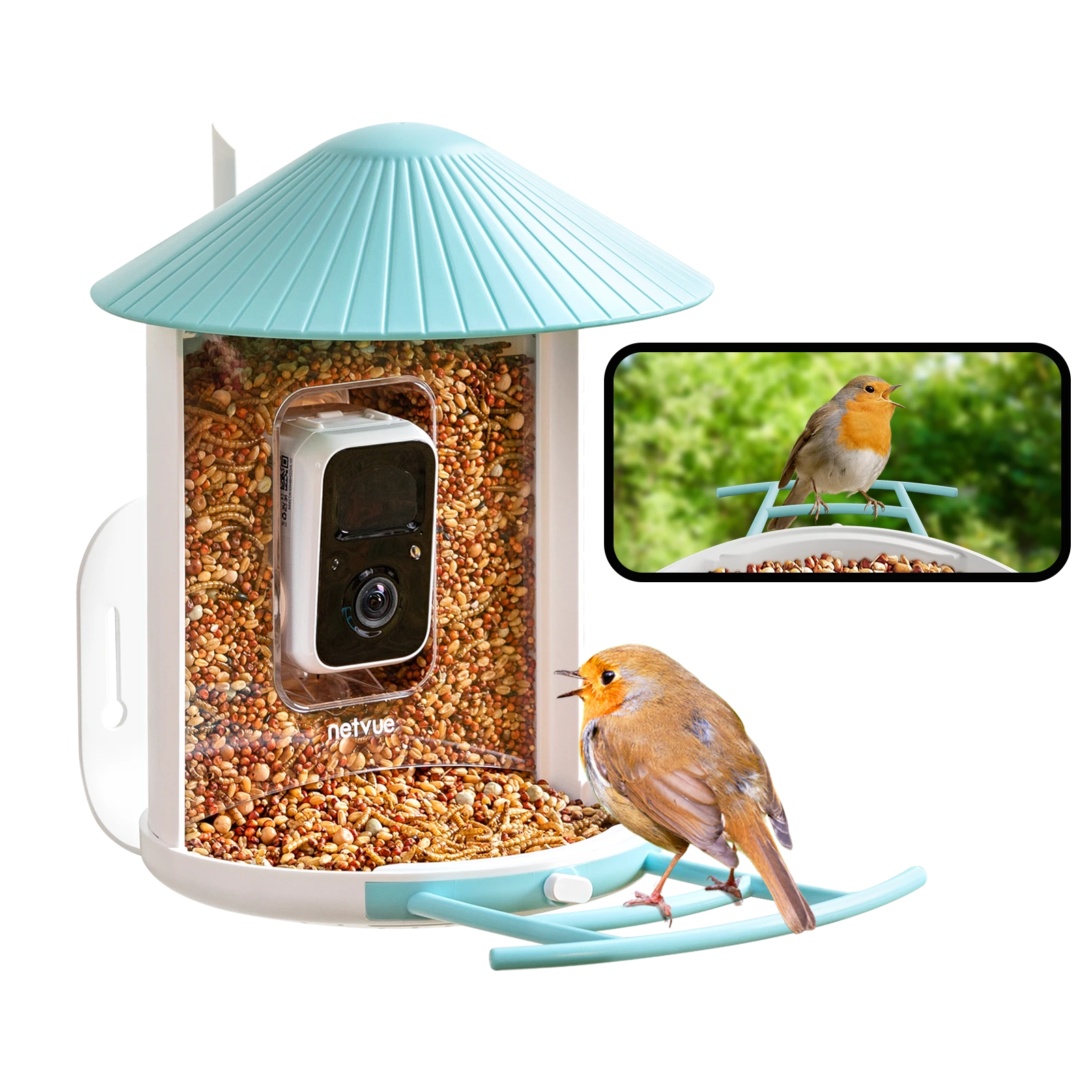 Birdfy Feeder 1 - Bird Feeder Camera