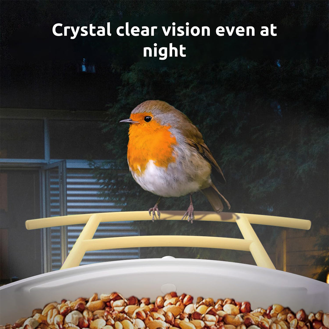 Birdfy Feeder with Solar Panel - Solar Powered Bird Feeder Camera