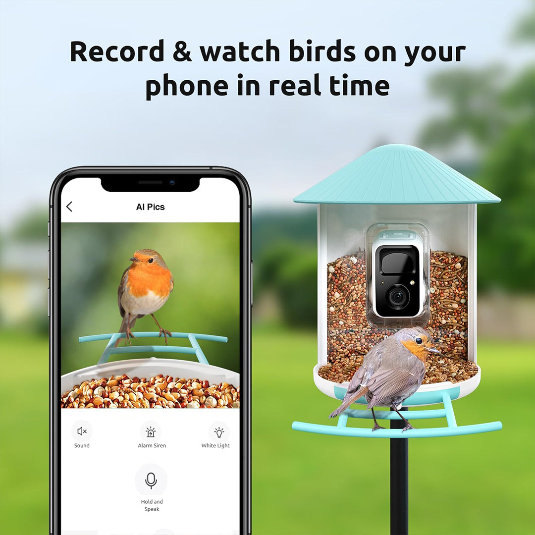 Birdfy Feeder Pro- Bird Feeders with Wider Perch, DIY Add-ons