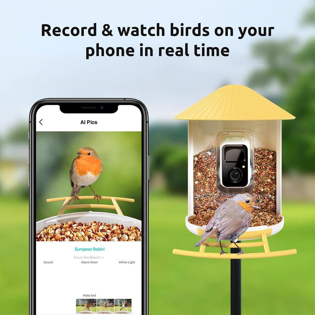 Birdfy Feeder with Solar Panel - Solar Powered Bird Feeder Camera
