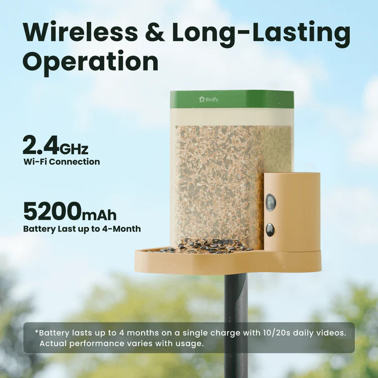 Birdfy Feeder Rookie - Beginner-Friendly Smart Bird Feeder