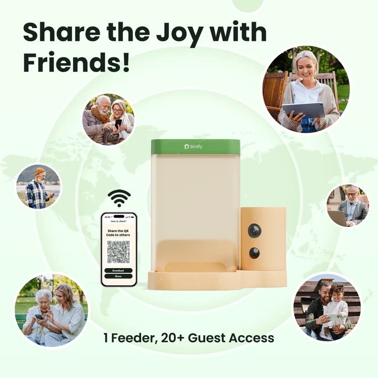 Birdfy Feeder Rookie - Beginner-Friendly Smart Bird Feeder