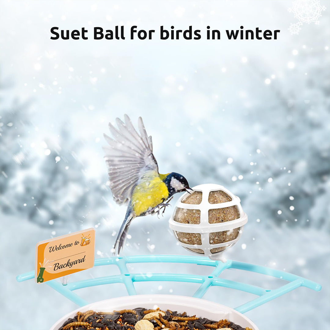 Birdfy Feeder Pro- Bird Feeders with Wider Perch, DIY Add-ons