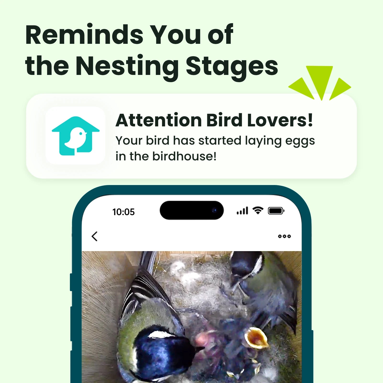 Birdfy Nest Duo - Smart Bird House with Dual Cameras