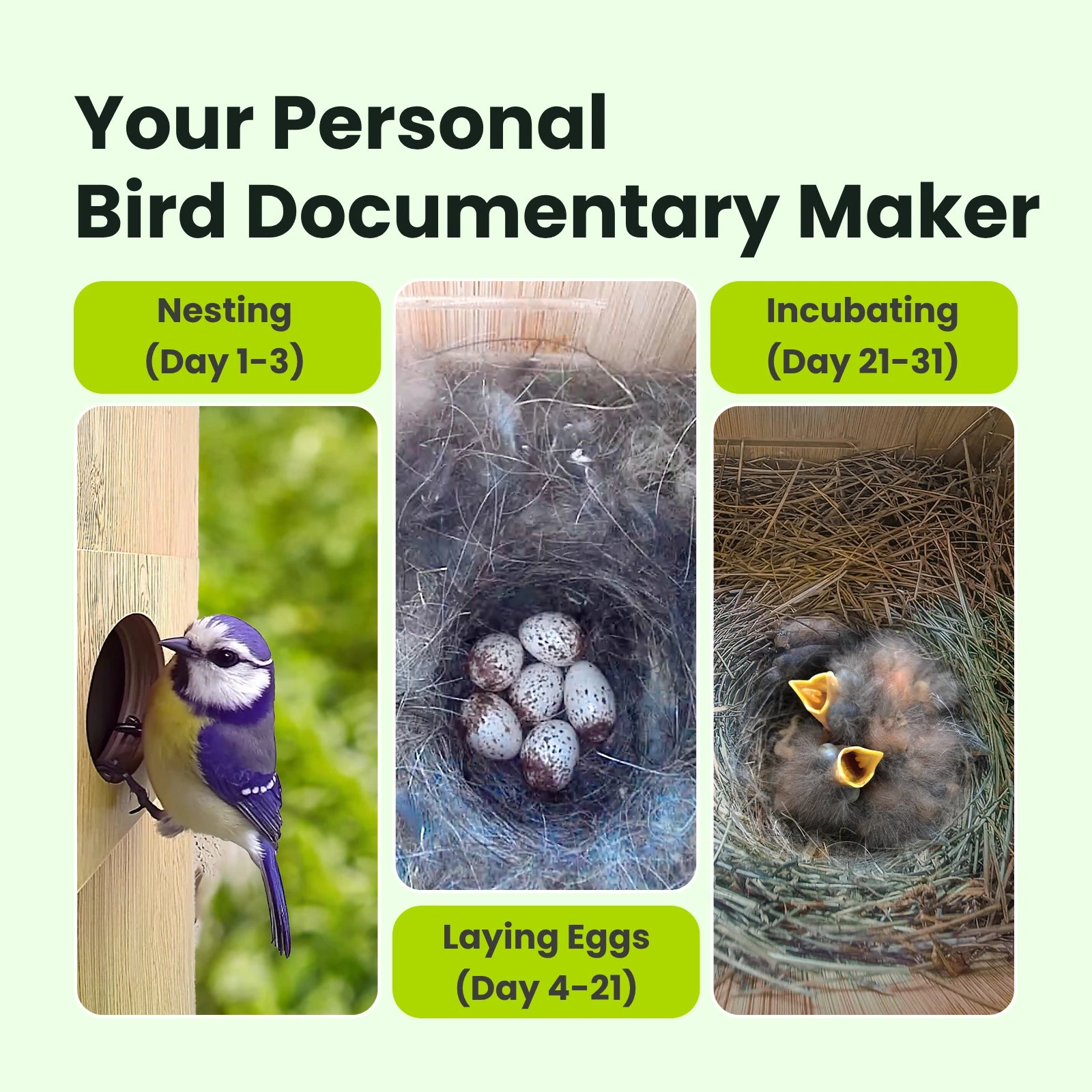 Birdfy Nest Duo - Smart Bird House with Dual Cameras